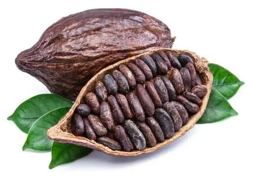 Cocoa Beans